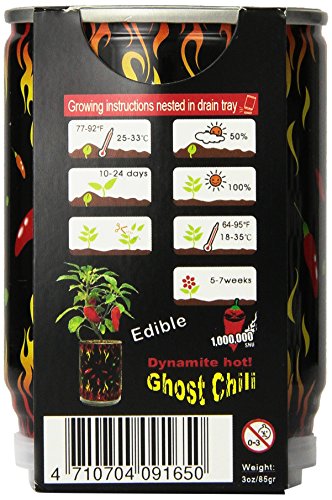 Ghost Chili Pepper in a Can