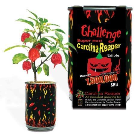 [0700153824798] Challenge Super Hot Carolina Reaper Plant Kit