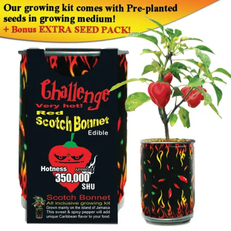 [0700153824491] Challenge Very Hot Red Scotch Bonnet Plant Kit